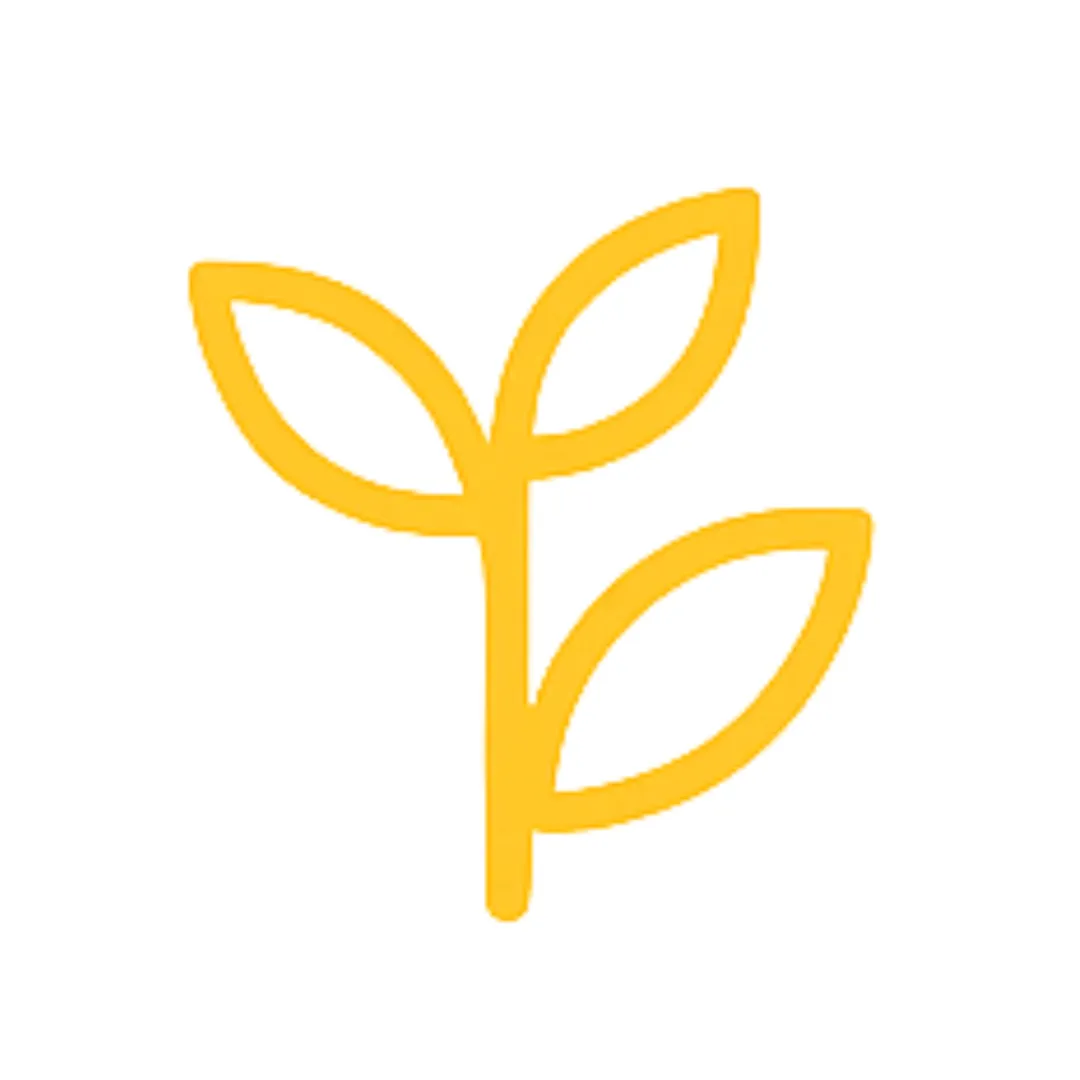 servicio-de-jardineria-11